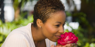 Le malattie delle rose – 2 parte 529 0 050 Le malattie delle rose 2^parte